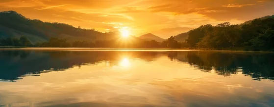 Affordable Construction Solutions by Cardiff Builders